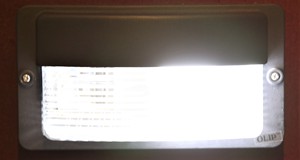 YY8A5450 copy